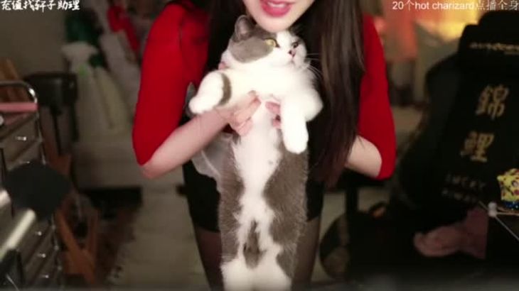 轩子巨2兔ASMR助眠视频在线播放：温柔声线沉浸式放松体验