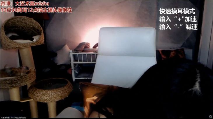 大艺术嘉Carrie ASMR视频在线播放-啄木鸟音效与耳烛助眠