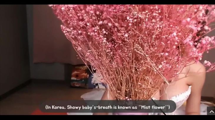 Zoey小姐姐ASMR助眠视频在线播放 - 沉浸式颅内按摩与放松体验