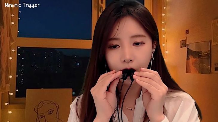 麦克尼布灵ASMR在线视频：强烈触发音与沉浸式助眠体验