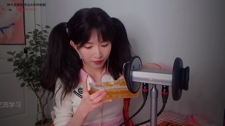 芝麻对辣ASMR视频在线播放 | 沉浸式助眠体验与日系治愈音效