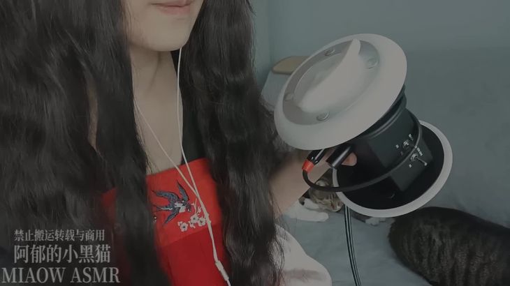 阿郁的小黑猫 ASMR助眠视频在线播放 | 沉浸式放松声音体验