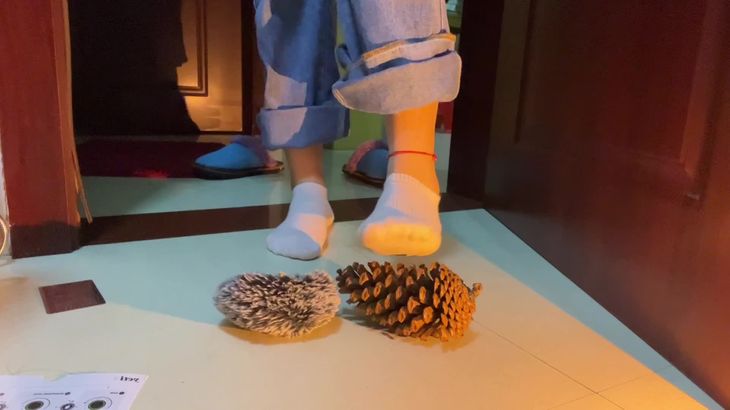 六六ASMR助眠哄睡视频在线播放_声控解压指甲敲击沉浸体验