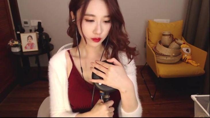 ASMR主播Sleep Aid Sound Therapy摩擦音助眠视频在线播放