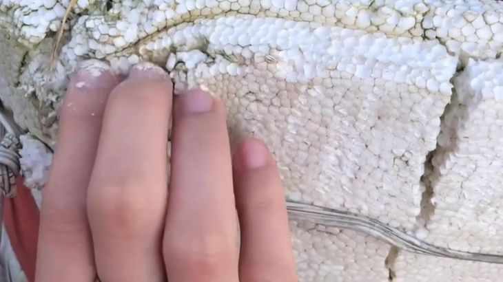 六六ASMR助眠视频在线播放：指甲敲击触发音哄睡专享