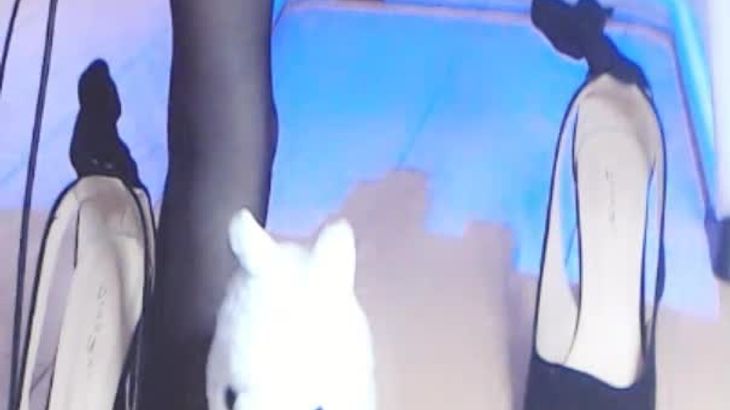 肉淼淼ASMR搜查系列在线播放：沉浸式放松解压视频