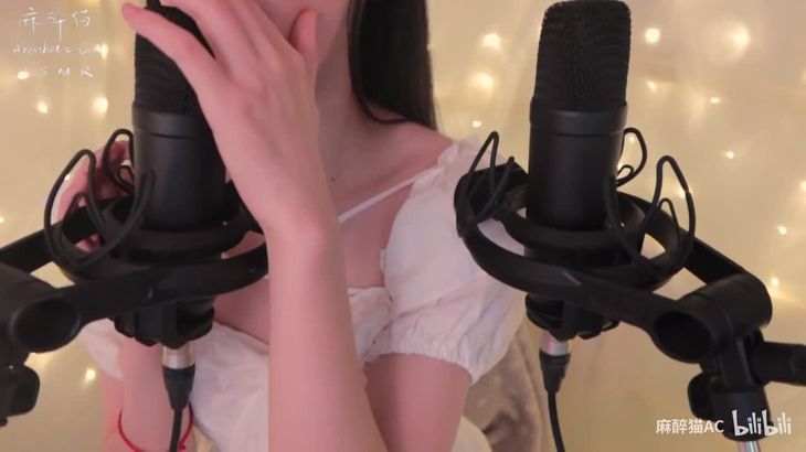 麻醉猫口腔音ASMR视频在线播放|沉浸式无人声助眠体验