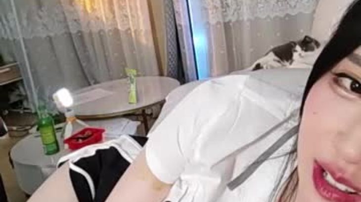 轩子巨2兔ASMR助眠视频在线播放 - 沉浸式视听体验，轩子巨二兔助眠直播精选