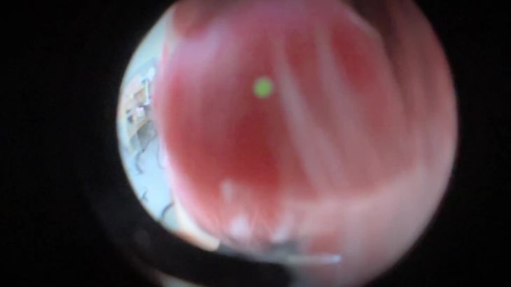 晚安yoyo ASMR舔耳口腔音视频在线播放