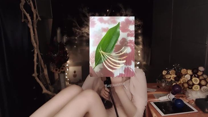 小太阳贼大ASMR视频在线播放-沉浸式助眠魔法书声控体验